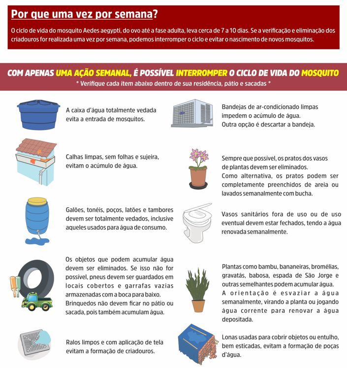 E você? Já combateu o mosquito hoje?