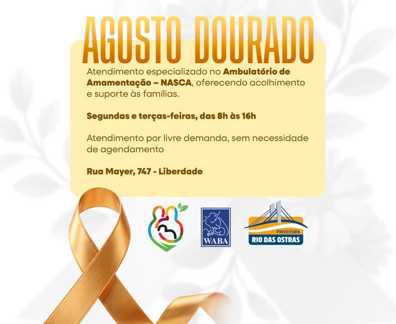Sistemas de apoio a amamentação