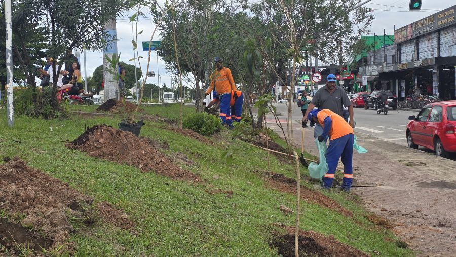 Mnicípio inicia revitalização dos jardins e áreas verdes