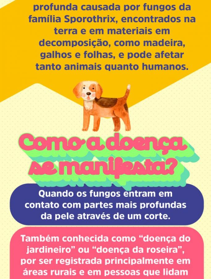 Esporotricose