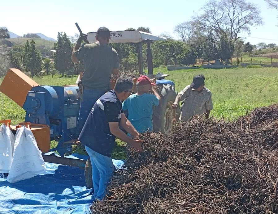 Produtores de Rio das Ostras concluem colheita do feijão