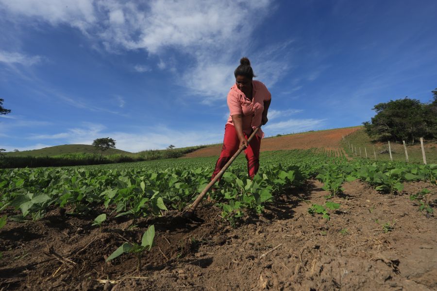 Município abre processo eleitoral para composição do Conselho Desenvolvimento Rural Município abre processo eleitoral para composição do Conselho Desenvolvimento Rural
