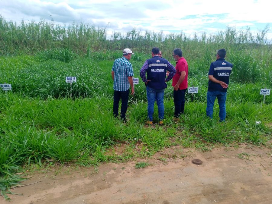 Município busca novas tecnologias para produção rural